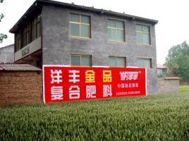 慈溪如何让墙体广告展现最大化效果